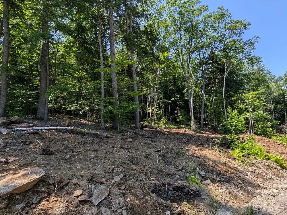 Land clearing