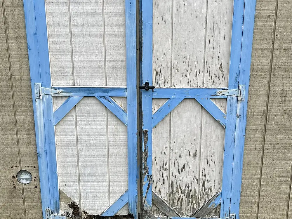 Weathered, peeling shed doors before repair